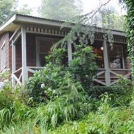 Bygone Beautys Cottages Leura Exterior foto