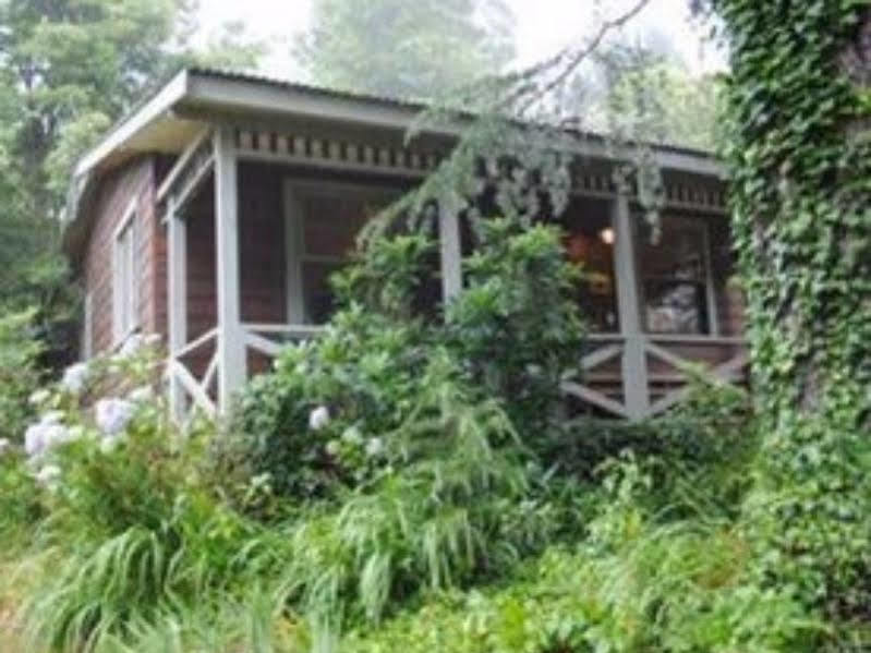 Bygone Beautys Cottages Leura Exterior foto